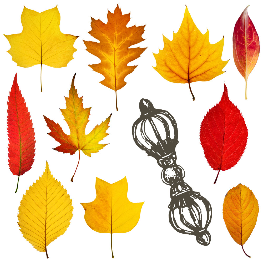 Listopadový dharmový souhrn.